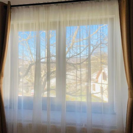 Panoramic Sus In Deal Viseu de Jos Dış mekan fotoğraf
