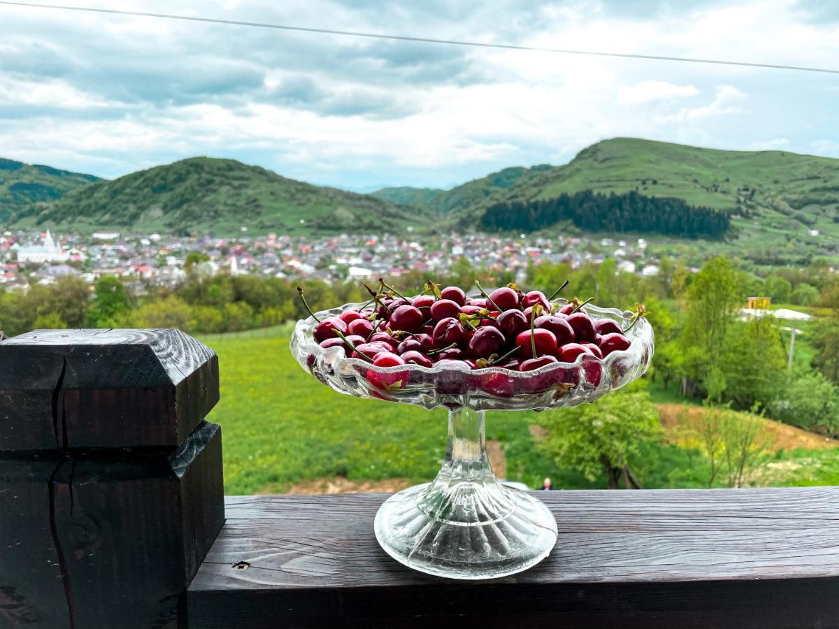 Panoramic Sus In Deal Viseu de Jos Dış mekan fotoğraf