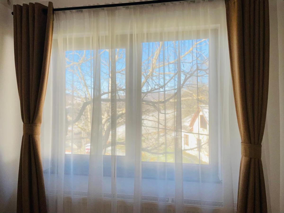 Panoramic Sus In Deal Viseu de Jos Dış mekan fotoğraf